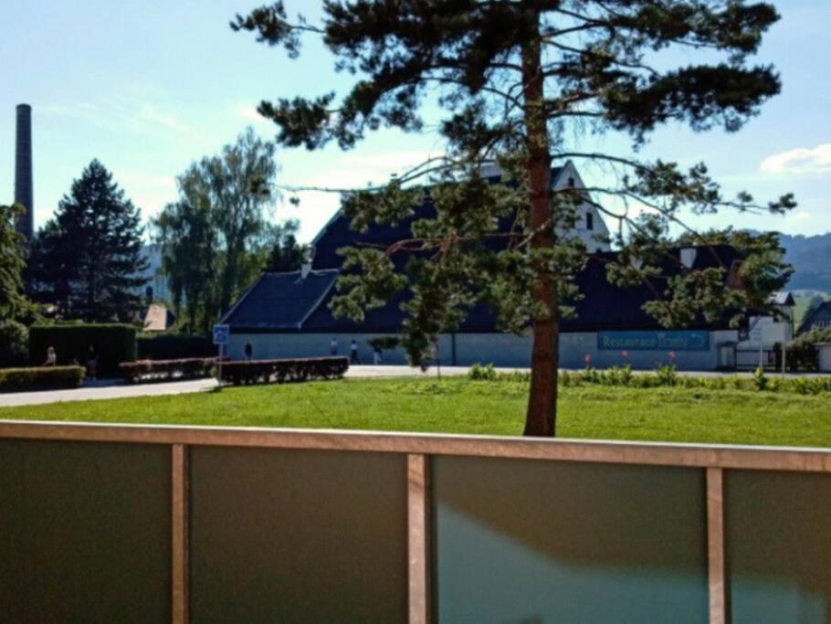 Ubytovani Velke Losiny - U Papirny Esterno foto