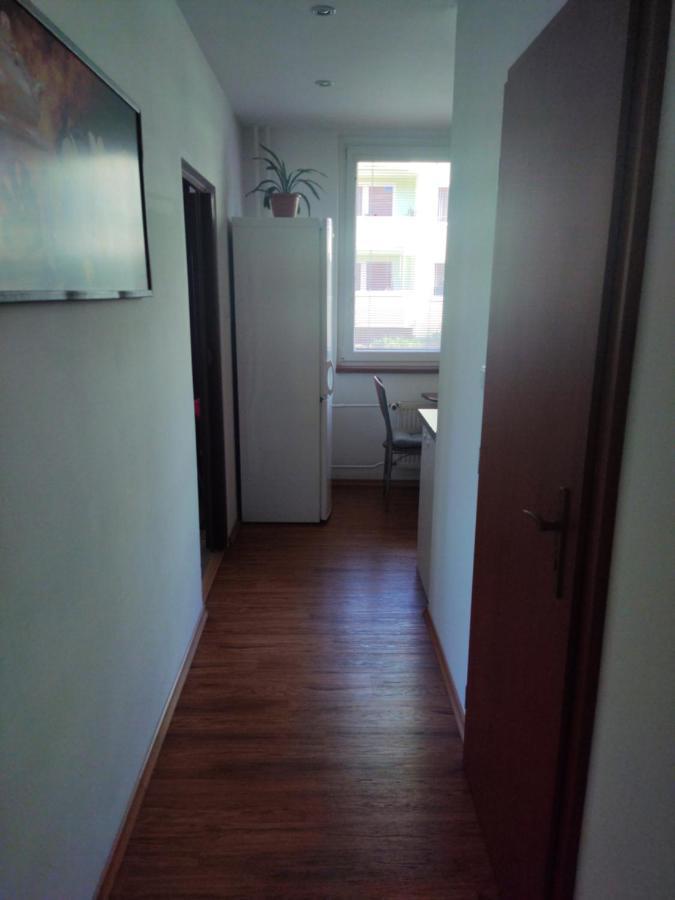 Ubytovani Velke Losiny - U Papirny Esterno foto